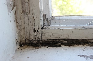 Common Window Problems